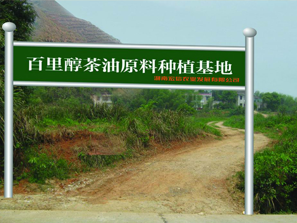 茶油原料種植基地